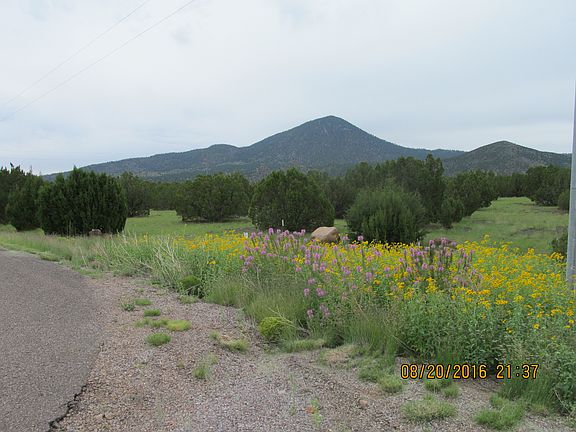 4th image of 4150 Sacred Peaks Trl
