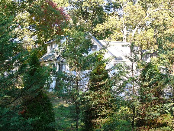 Trees and shrubs privacy 