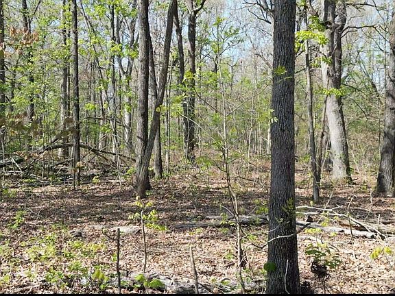 2nd image of 000-40 S Plainview Rd