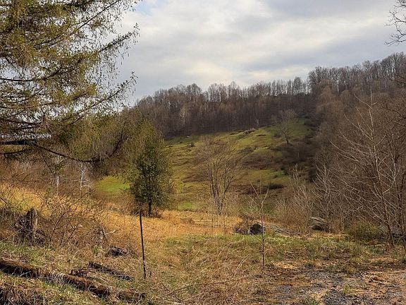 5th image of Mudlick Run Rd