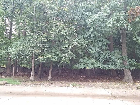 Wooded view