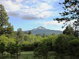 Peninsula Dr LOT 22, Placerville, CO 81430