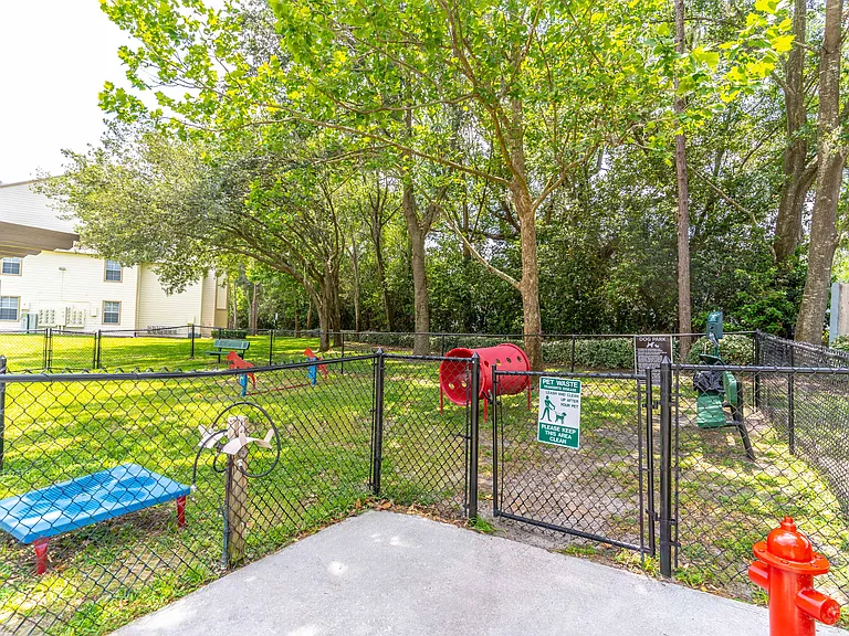 Dog Park