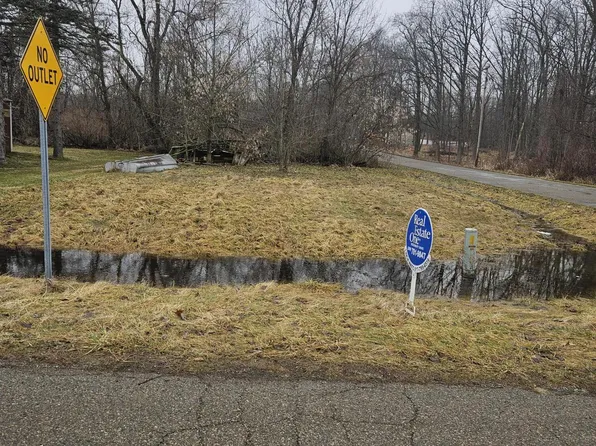 5901 Monroe Rd, Olivet, MI 49076