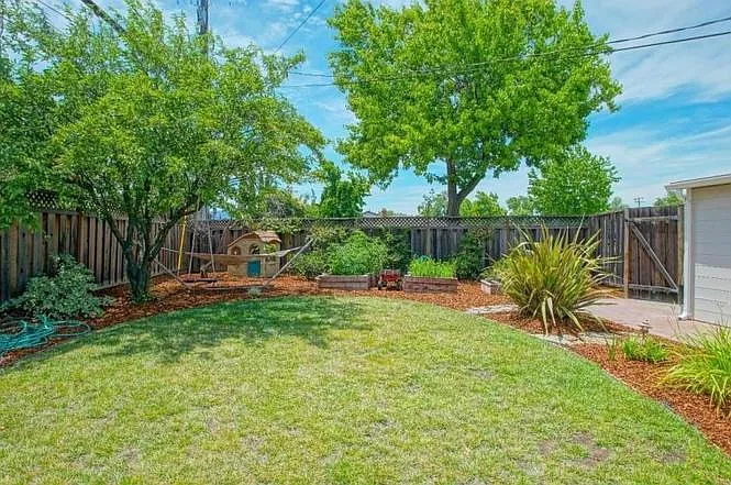 Back Yard 3