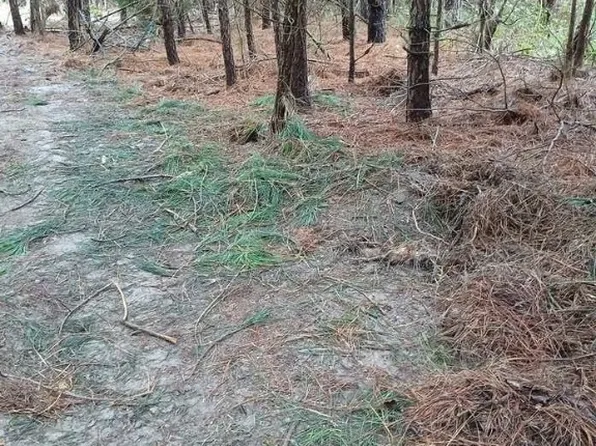 6-72A Ridge Rd, Colonial Beach, VA 22443