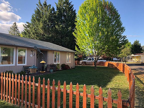 big yard with beautiful tree