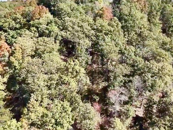 4th image of 1350 Rube Brown Rd