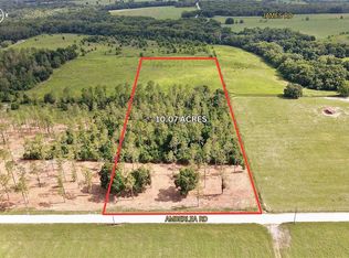 Amberlea Rd, Dade City, FL 33523