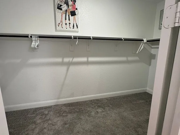 701 Harmony Trl — Photo 10