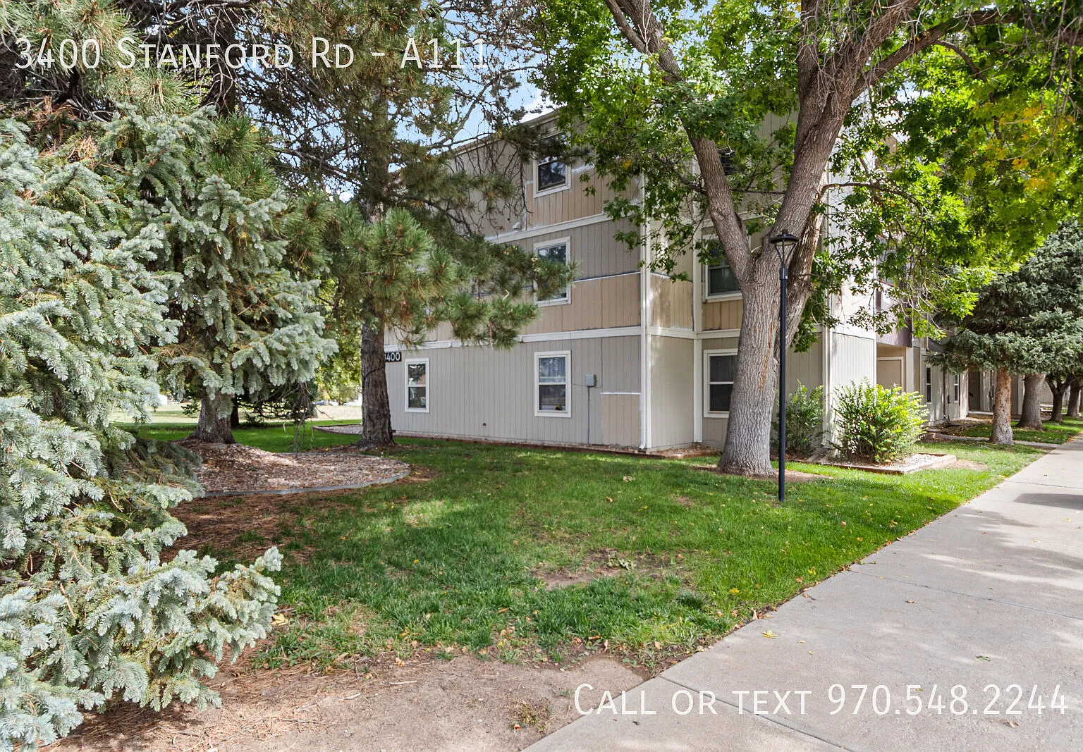 2 bed, 813 sqft, $1,450 — Photo 1