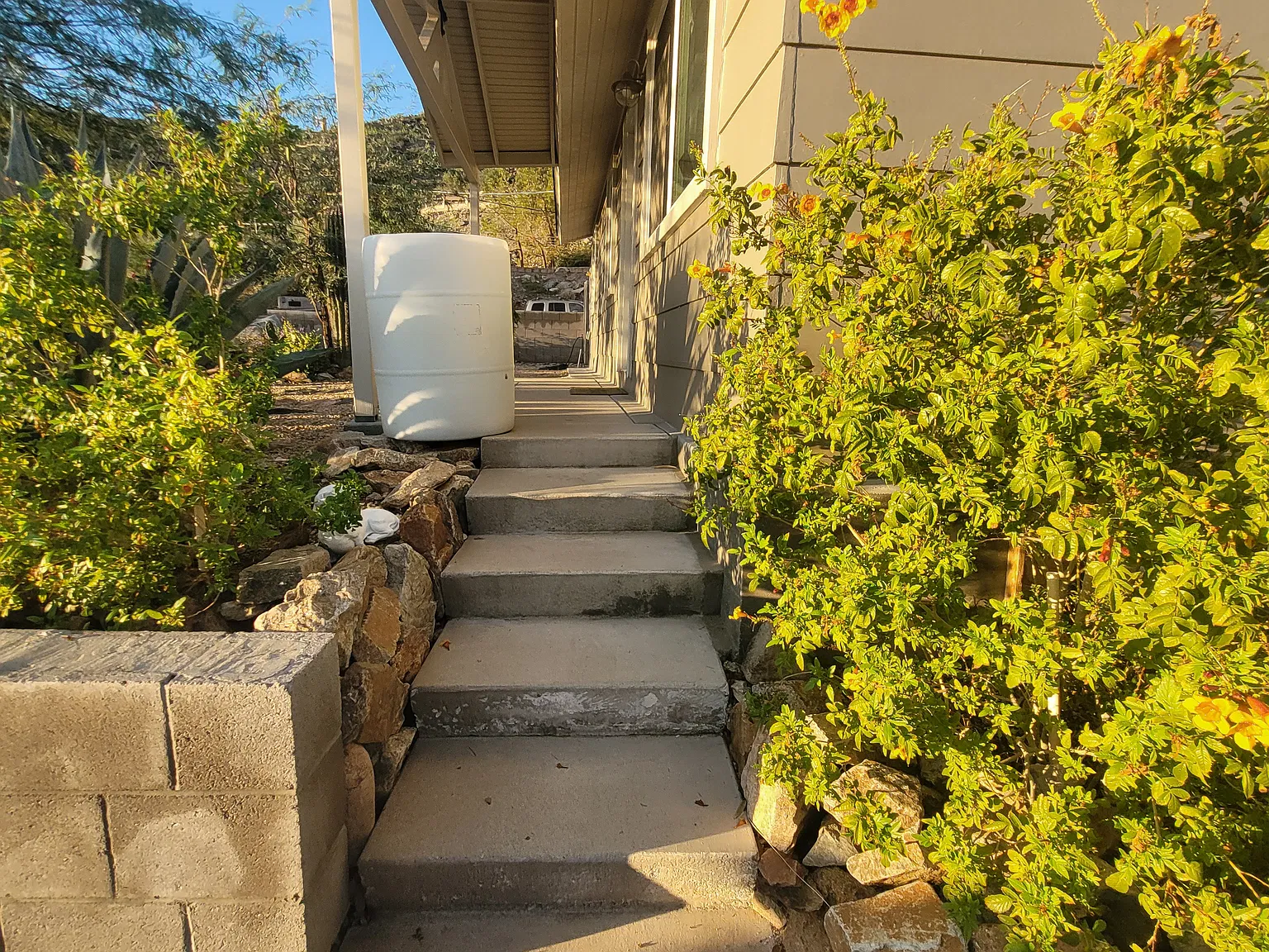 3 bed, 1000 sqft, $2,100 — Photo 4