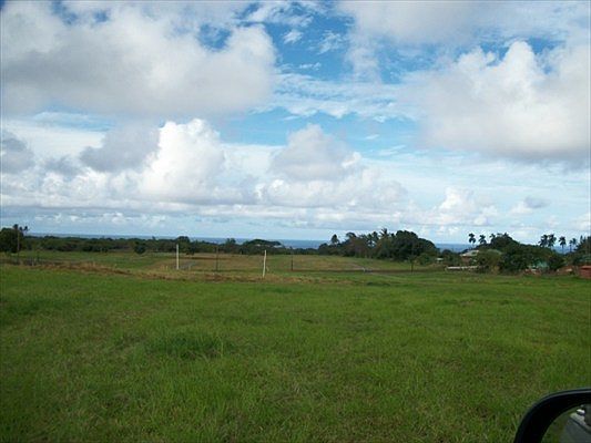 2nd image of LOT B