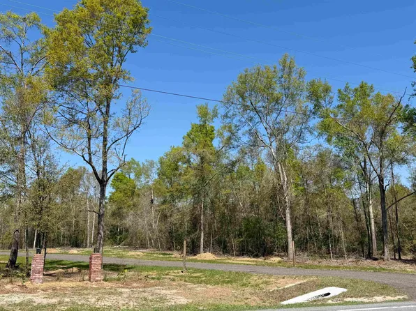 PARCEL 2 E Us Highway 90, Lee, FL 32059