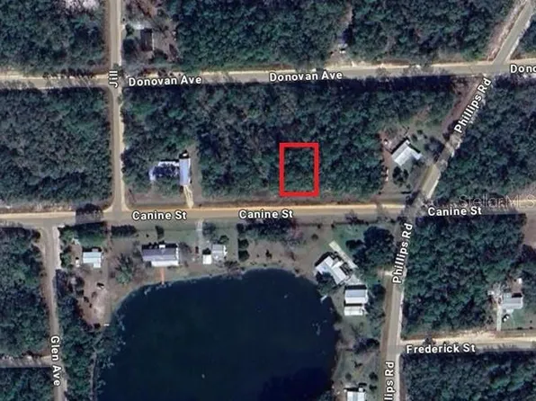 Canine St Lot 12, Interlachen, FL 32148