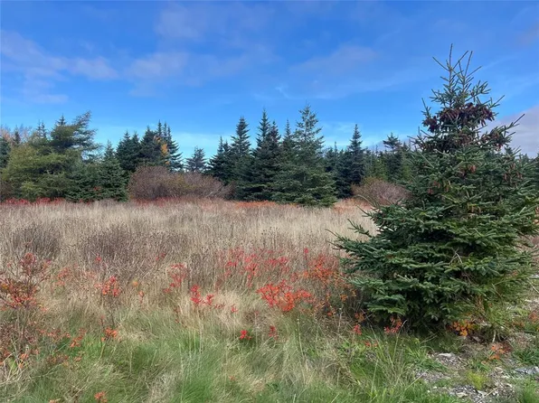 17-25 Bay Ridge Road, Ferryland, NL A0A2H0