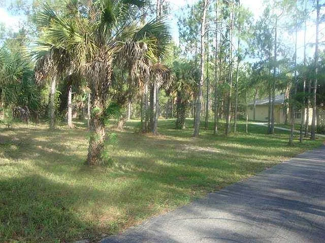 2 bed, 1.0 bath, 1008 sqft, $2,300 — Photo 3