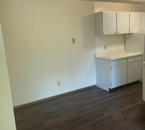 Eat in area with large pantry closet and new flooring