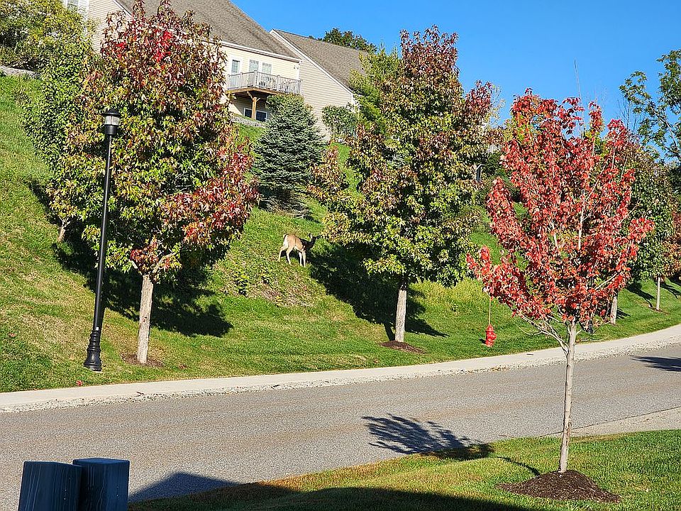 2nd image of 8 Blair Heights #0101