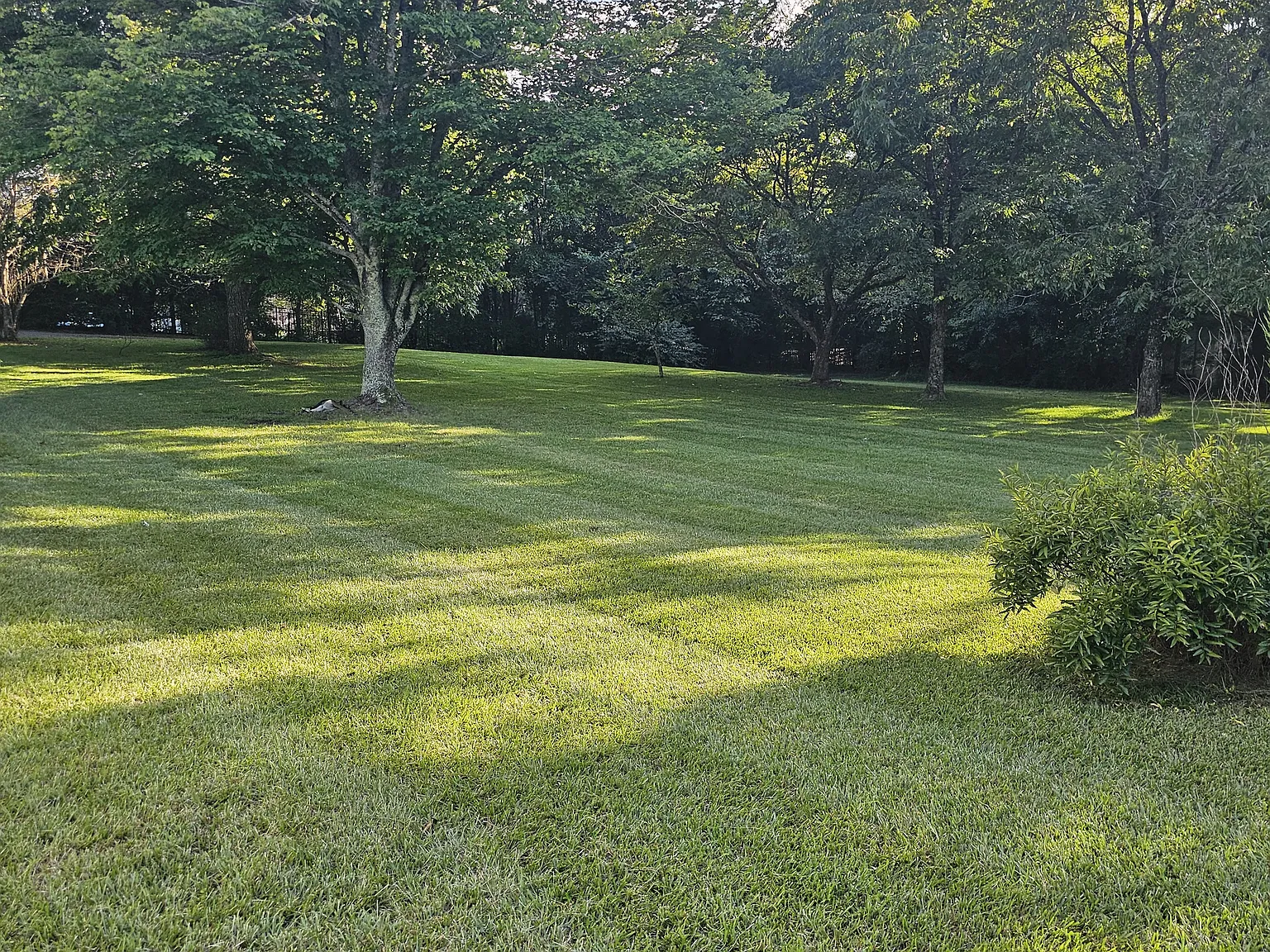 823 Marvin Rd — Photo 4