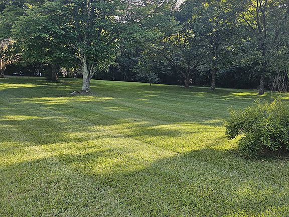 3rd image of 823 Marvin Rd