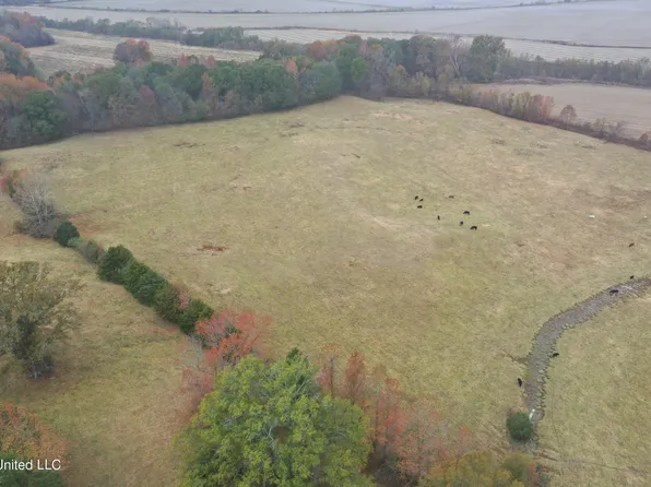 2131 Evansville Rd, Senatobia, MS 38668