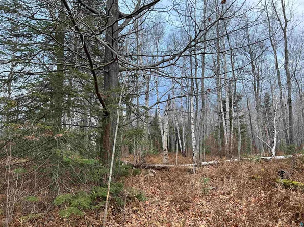 17 Bark Bay Rd, Herbster, WI 54844