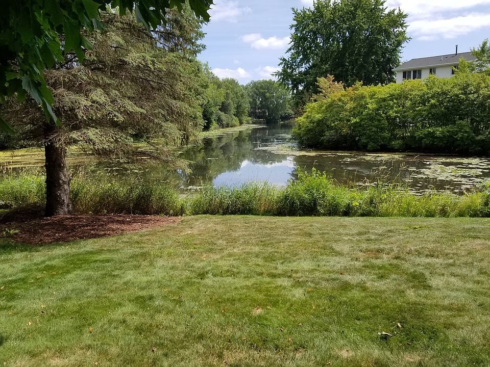 View from back yard