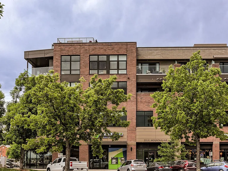 221 E Mountain Ave #312 — Photo 4