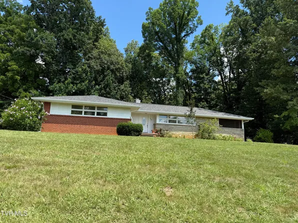408 Forest Hills Dr, Kingsport, TN 37663