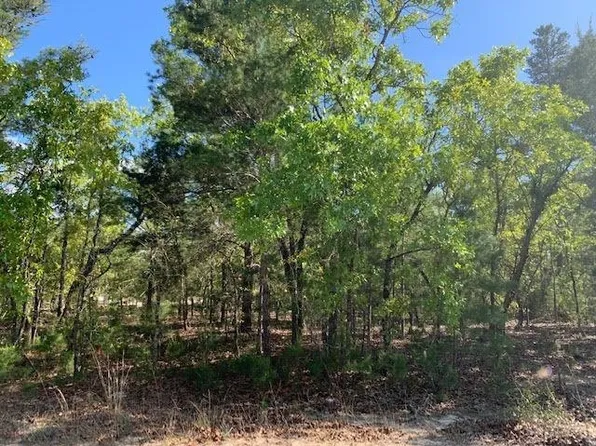 2 Lowery Acres Rd, Hosford, FL 32334