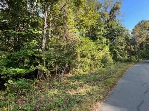 LOT 1015 Mountain View Ln, White Pine, TN 37890