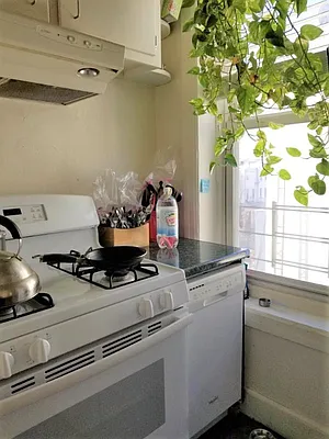 Rented by Brooklyn Heights Real Estate Inc | media 6