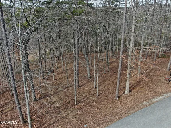Lots 8 & 9 Eagle Blf, Jamestown, TN 38556