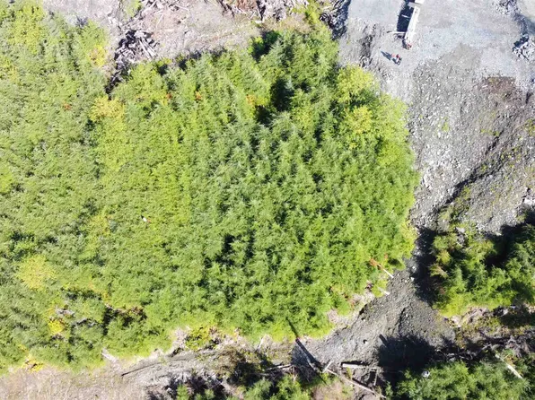 Legal Address Only Yew Wood Dr Lot 4, Ketchikan, AK 99901