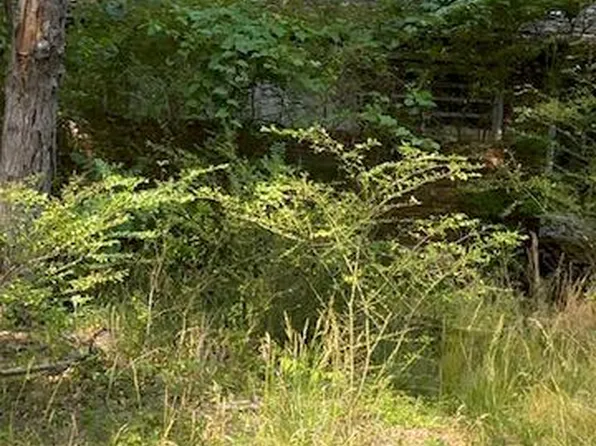 10528 Coles Ln, Fredericksburg, VA 22408