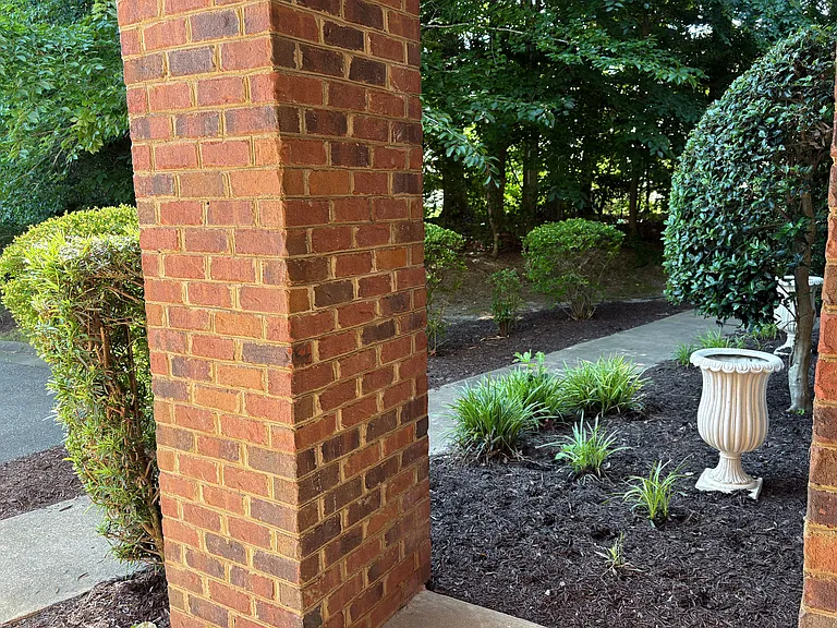 Garden area