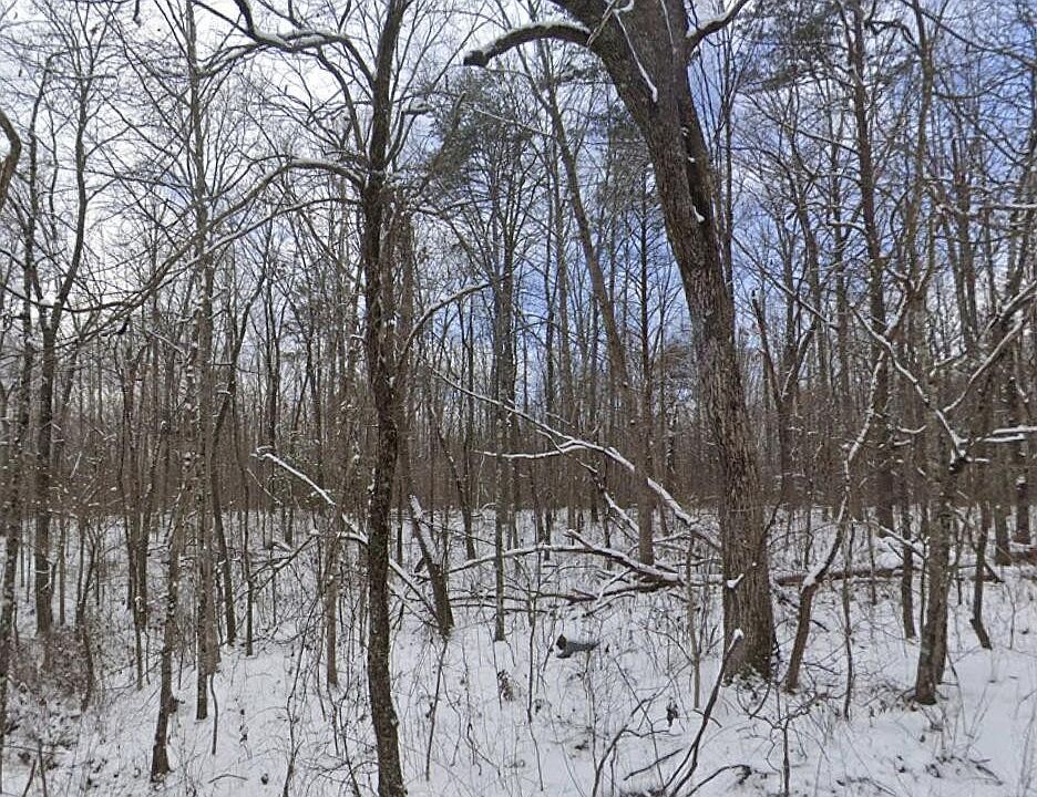 1st image of 113 Blaine Smith Rd