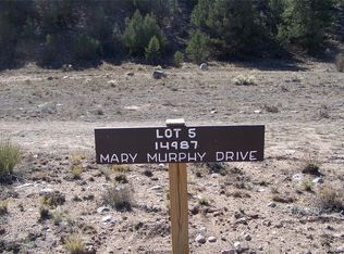 14991 Mary Murphy Dr LOT 5, Nathrop, CO 81236
