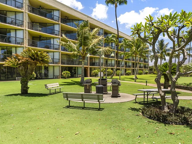 1032 S Kihei Rd #ID1035941P — Photo 15
