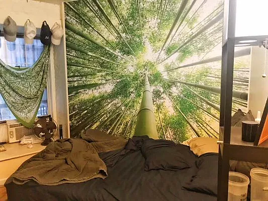 Rented by Friedman Roth Realty | media 14