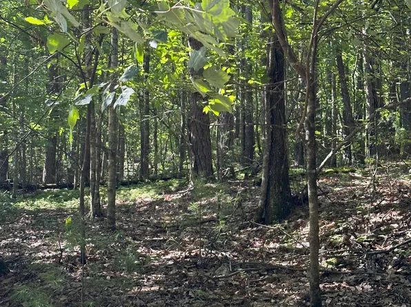 0 Keenview Dr, Blairsville, GA 30512