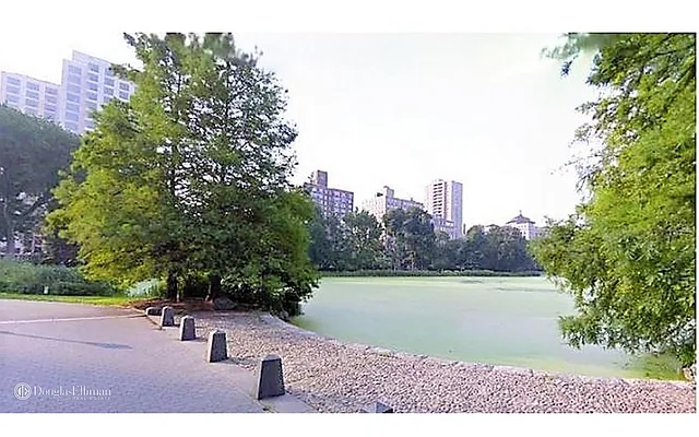 Rented by Douglas Elliman | media 70