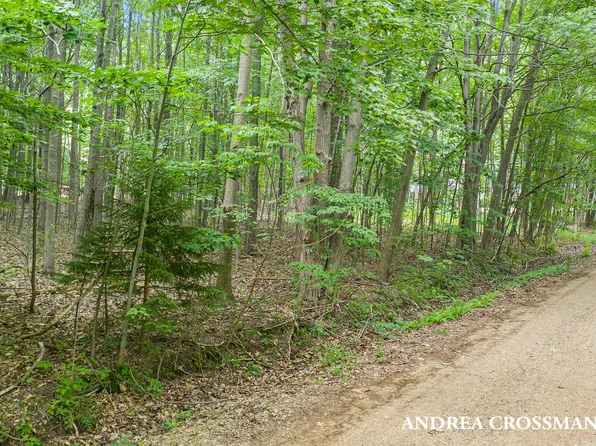 0 Alexander St, Fennville, MI 49408