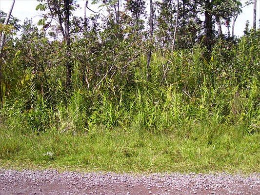 1st image of 2nd Ave Lot 1446