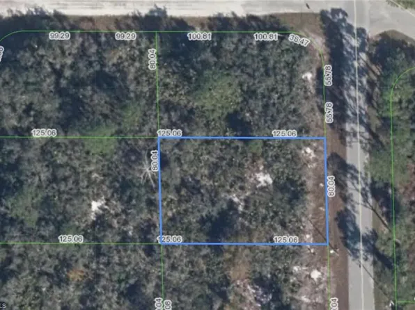 215 Marlin ST NW, LAKE PLACID, FL 33852