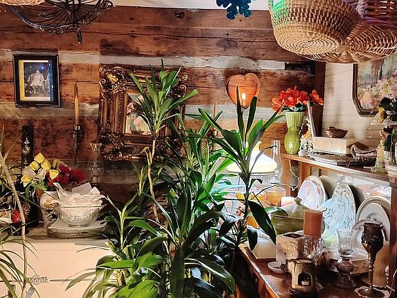 Dining room 1840 log wall.