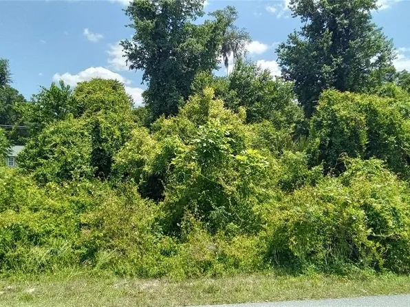 Larch Crse Lot 19, Ocala, FL 34480