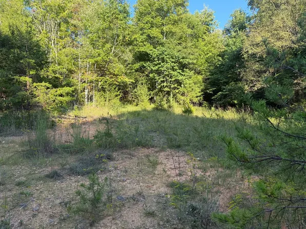 Five Forks Ln, Fort Blackmore, VA 24250