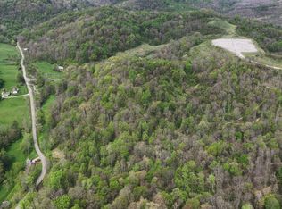45670 Frobish Rd, Sardis, OH 43946
